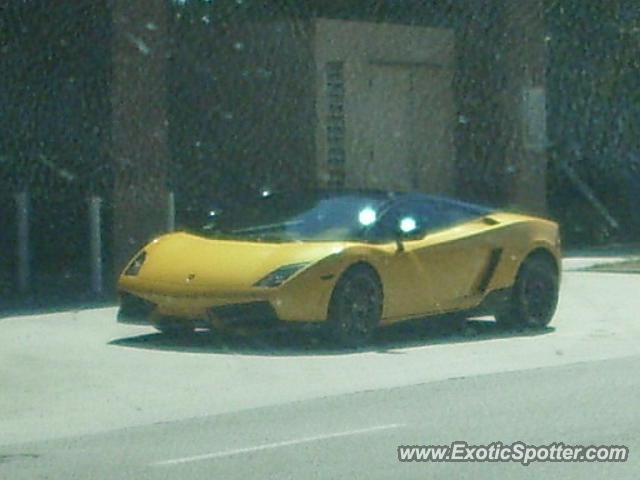 Lamborghini Gallardo spotted in Beverly Hills, California