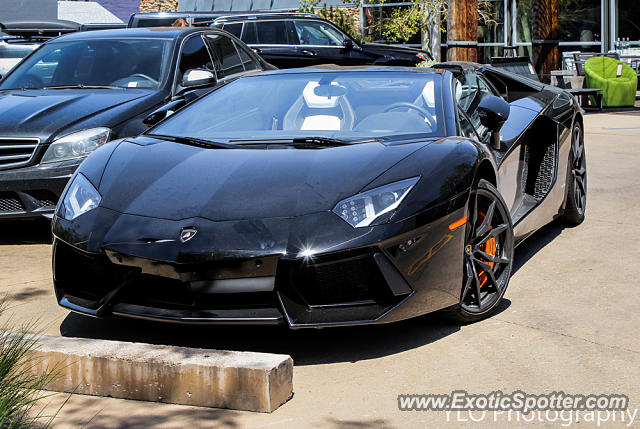 Lamborghini Aventador spotted in Cherry Creek, Colorado