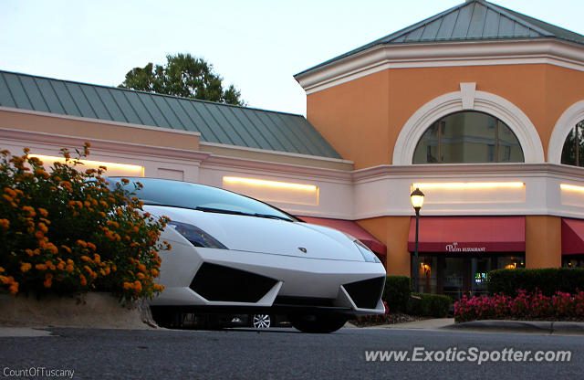 Lamborghini Gallardo spotted in Charlotte, North Carolina