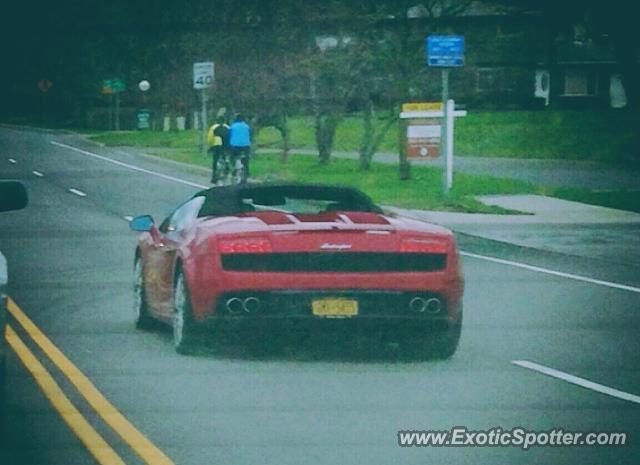 Lamborghini Gallardo spotted in Pittsford, New York