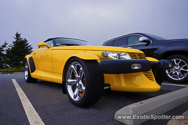 Plymouth Prowler spotted in Burnsville, North Carolina