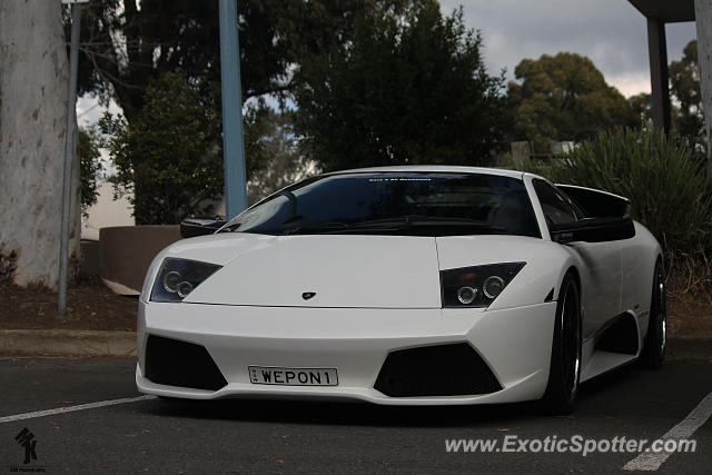 Lamborghini Murcielago spotted in Sydney, Australia