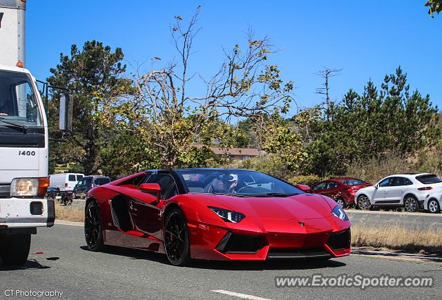 Lamborghini Aventador spotted in Carmel Valley, California
