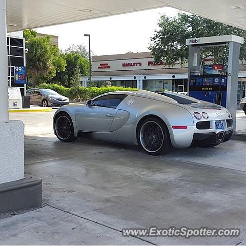 Bugatti Veyron spotted in Fort Lauderdale, Florida