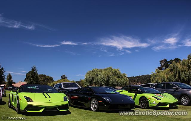 Lamborghini Murcielago spotted in Carmel Valley, California