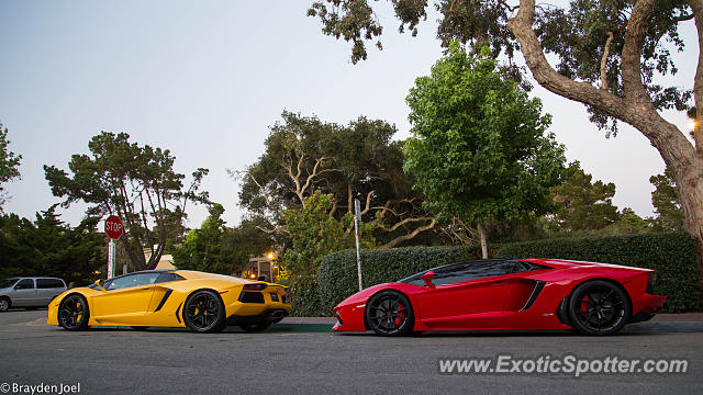 Lamborghini Aventador spotted in Carmel, California