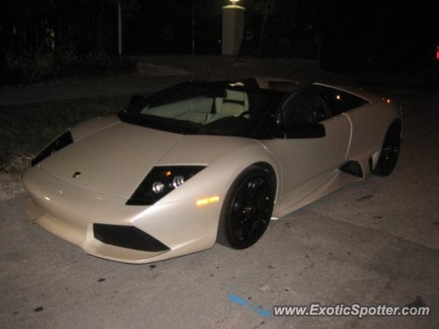 Lamborghini Murcielago spotted in Miami Beach, Florida