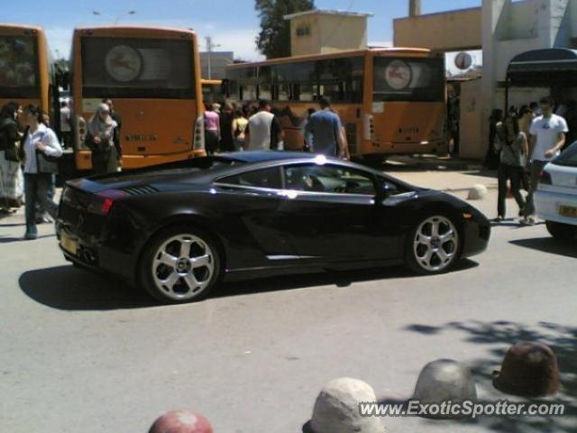 Lamborghini Gallardo spotted in Algiers, Algeria