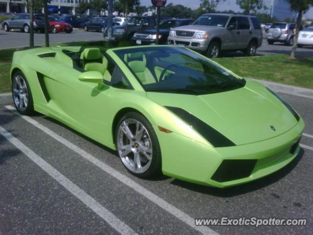 Lamborghini Gallardo spotted in Garden City, New York