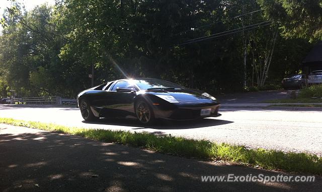 Lamborghini Murcielago spotted in Burlington, On, Canada