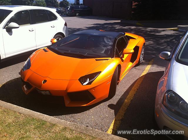 Lamborghini Aventador spotted in Burlington,On, Canada