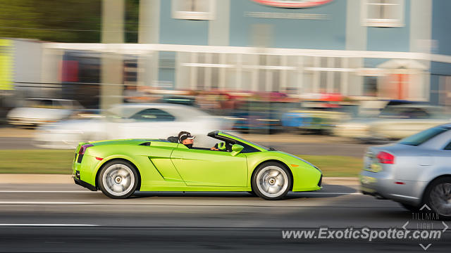 Lamborghini Gallardo spotted in Birmingham, Michigan