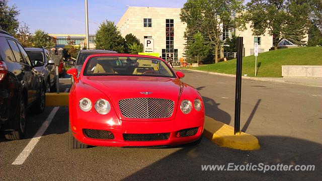 Bentley Continental spotted in Québec, Canada