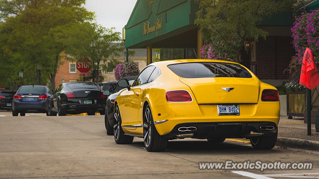 Bentley Continental spotted in Birmingham, Michigan