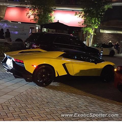 Lamborghini Aventador spotted in Fort Lauderdale, Florida