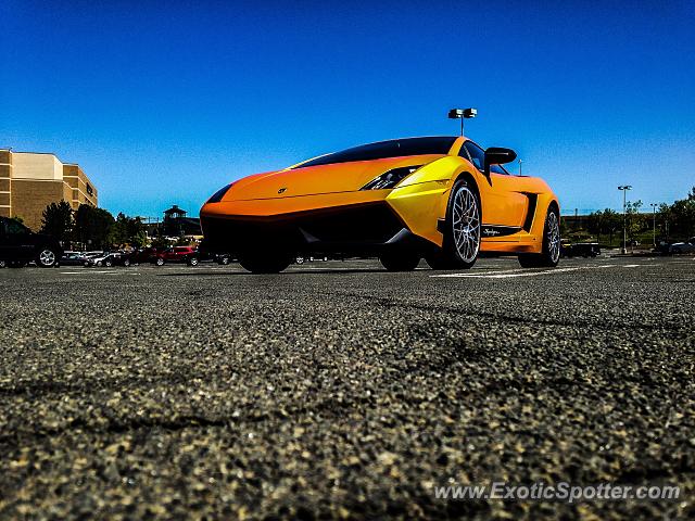 Lamborghini Gallardo spotted in Lone Tree, Colorado