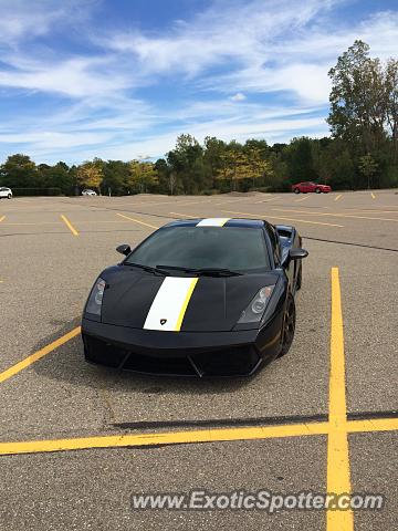 Lamborghini Gallardo spotted in Novi, Michigan