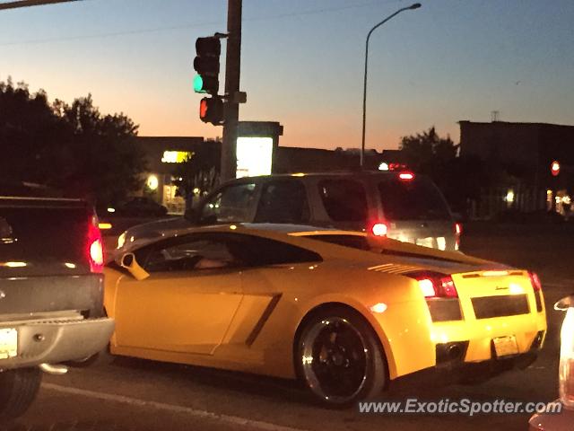 Lamborghini Gallardo spotted in Albuquerque, New Mexico