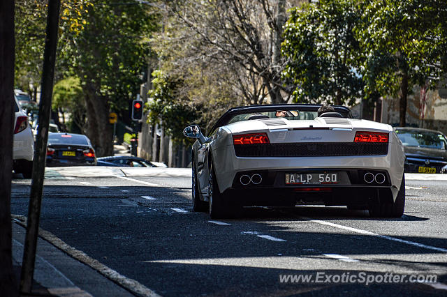 Lamborghini Gallardo spotted in Sydney, Australia