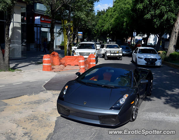 Lamborghini Gallardo spotted in Mexico City, Mexico