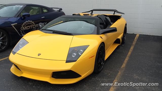 Lamborghini Murcielago spotted in Brighton, Michigan