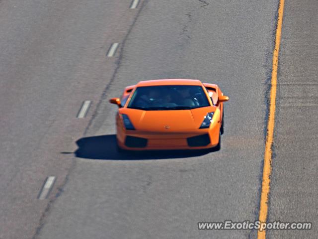 Lamborghini Gallardo spotted in DTC, Colorado