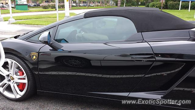 Lamborghini Gallardo spotted in Miami, Florida