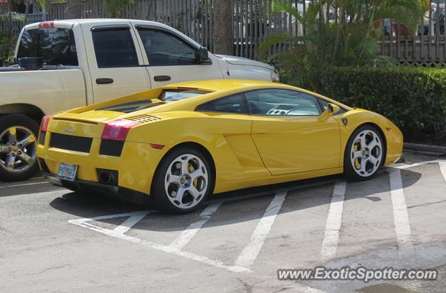 Lamborghini Gallardo spotted in Bal Harbour, Florida