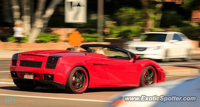 Lamborghini Gallardo spotted in Phoenix, Arizona