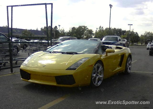 Lamborghini Gallardo spotted in Waterdown, Canada