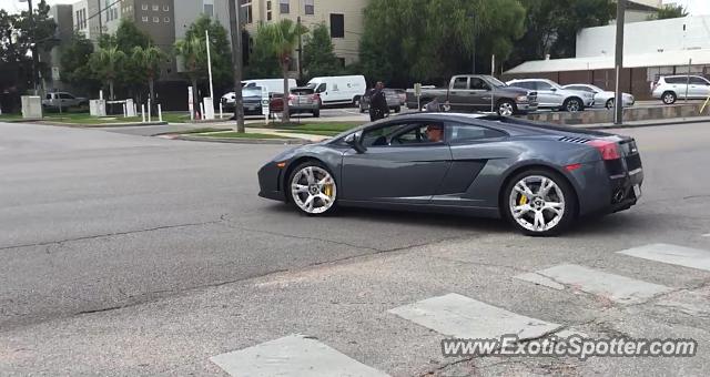 Lamborghini Gallardo spotted in Houston, Texas