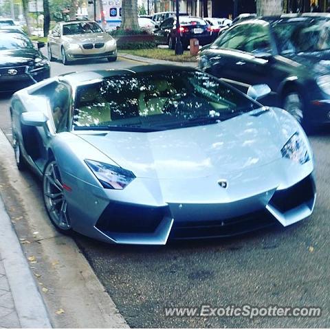 Lamborghini Aventador spotted in Fort Lauderdale, Florida