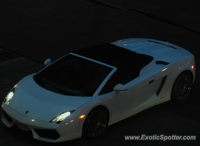 Lamborghini Gallardo spotted in Toronto, Canada