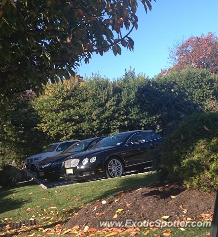 Bentley Continental spotted in Brick, New Jersey