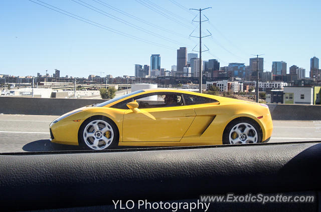 Lamborghini Gallardo spotted in Denver, Colorado