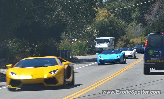 Lamborghini Aventador spotted in Carmel, California