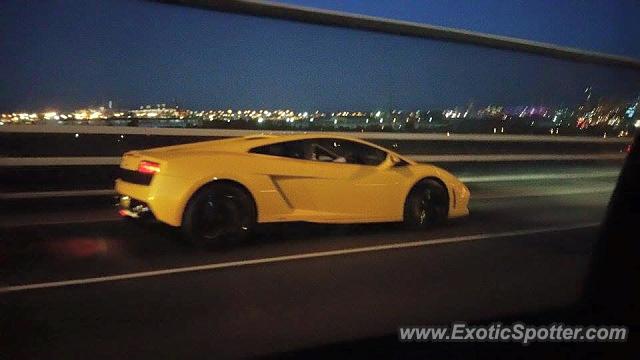 Lamborghini Gallardo spotted in Sydney, Australia