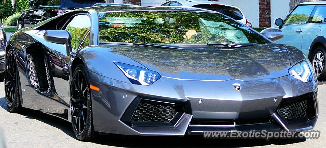 Lamborghini Aventador spotted in Beverly Hills, California