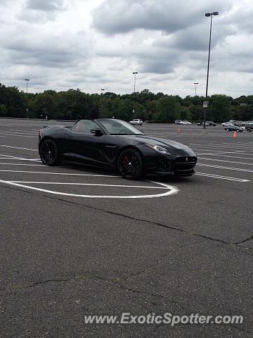 Jaguar F-Type spotted in Freehold, New Jersey