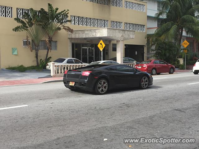 Lamborghini Gallardo spotted in Miami, Florida