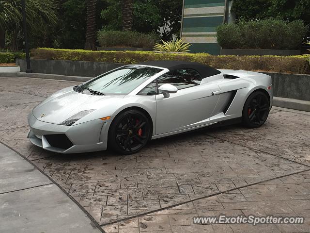 Lamborghini Gallardo spotted in Miami Beach, Florida