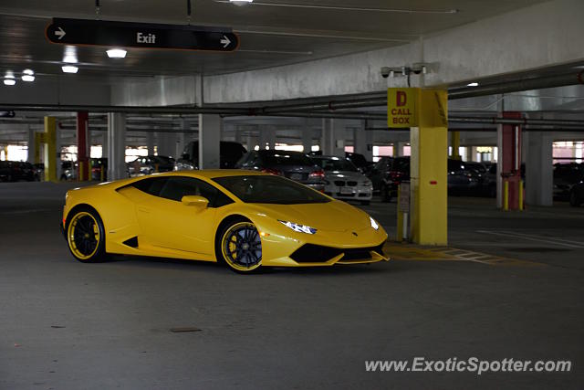 Lamborghini Huracan spotted in McLean, Virginia