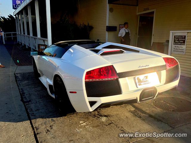 Lamborghini Murcielago spotted in Malibu, California