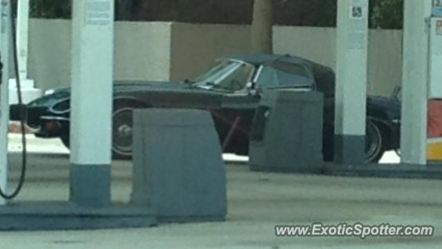 Jaguar E-Type spotted in Stuart, Florida