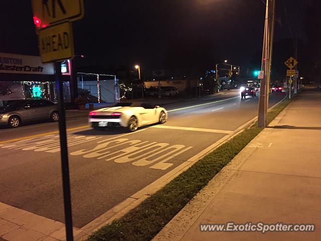 Lamborghini Gallardo spotted in Orlando, Florida