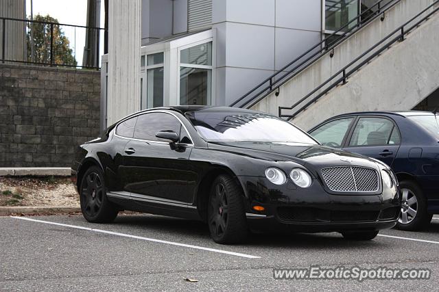 Bentley Continental spotted in Cherry Hill, New Jersey