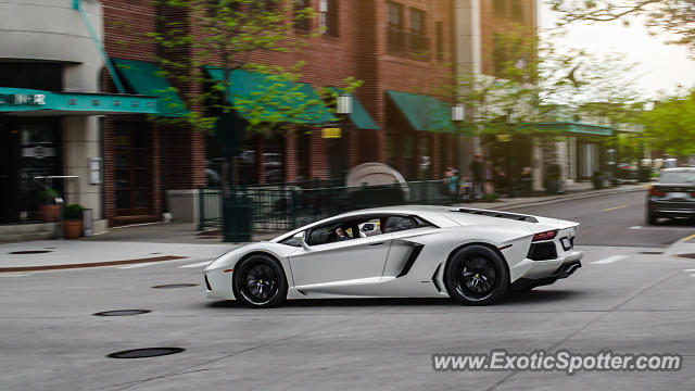 Lamborghini Aventador spotted in Birmingham, Michigan