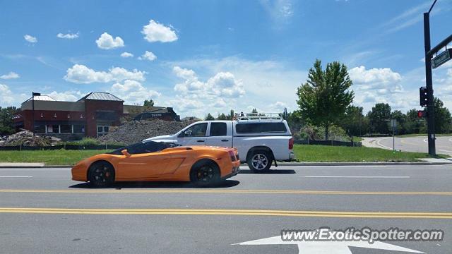 Lamborghini Gallardo spotted in Parker, Colorado