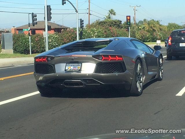 Lamborghini Aventador spotted in Palos, California