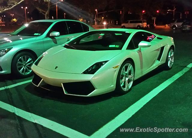 Lamborghini Gallardo spotted in Hewlett, New York